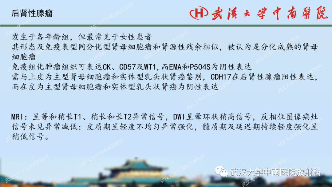 影像PPT - 【PPT】肾脏解剖、实性肾肿瘤-67