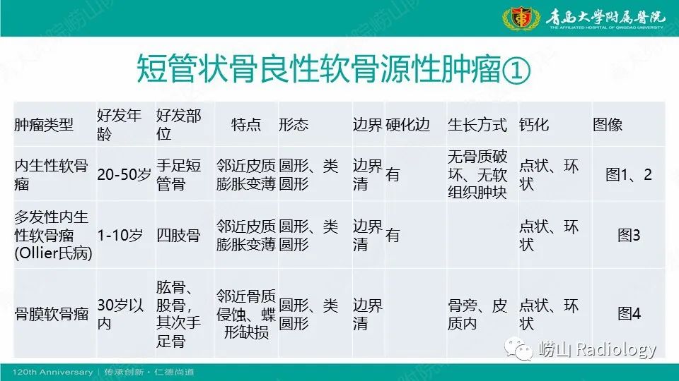影像PPT - 【病例】掌骨骨巨细胞瘤1例X线CT及MR-13
