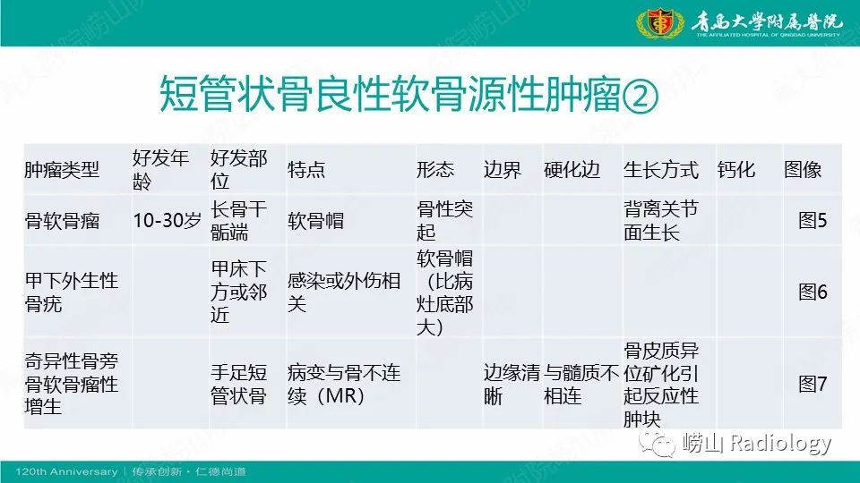 影像PPT - 【病例】掌骨骨巨细胞瘤1例X线CT及MR-14