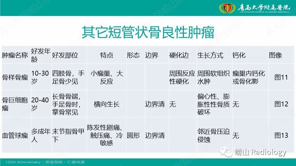 影像PPT - 【病例】掌骨骨巨细胞瘤1例X线CT及MR-16