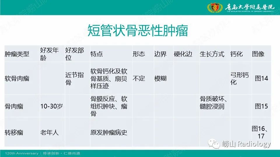 影像PPT - 【病例】掌骨骨巨细胞瘤1例X线CT及MR-17