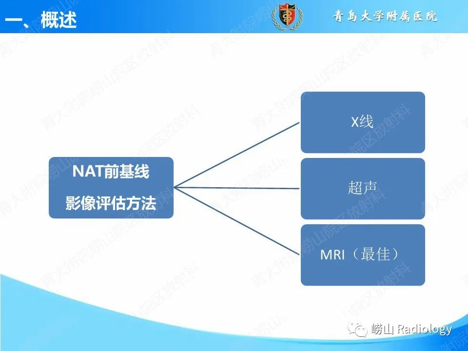 影像PPT - 【PPT】基于影像组学评估乳腺癌新辅助治疗效果-4