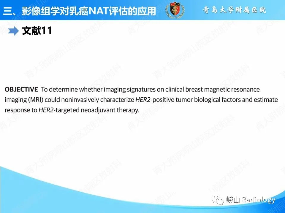 影像PPT - 【PPT】基于影像组学评估乳腺癌新辅助治疗效果-13