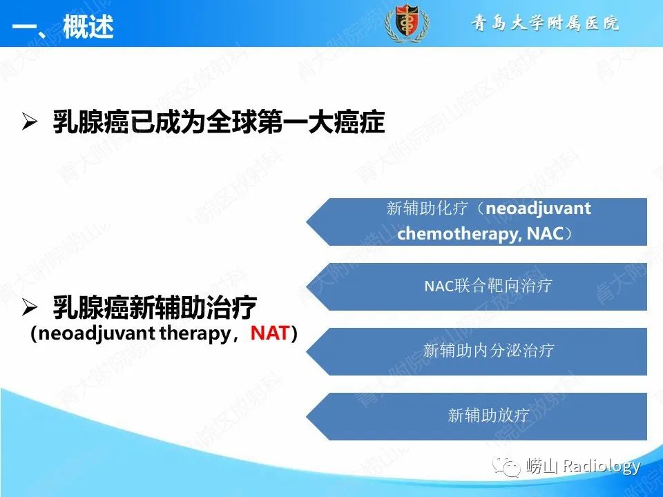 影像PPT - 【PPT】基于影像组学评估乳腺癌新辅助治疗效果-3