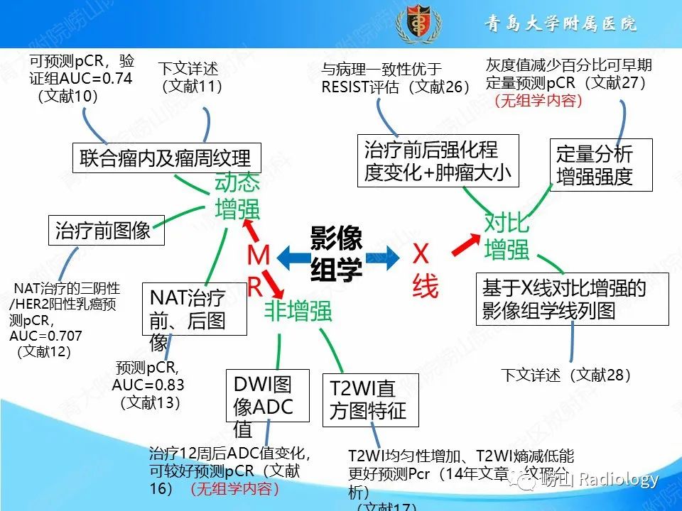 影像PPT - 【PPT】基于影像组学评估乳腺癌新辅助治疗效果-11