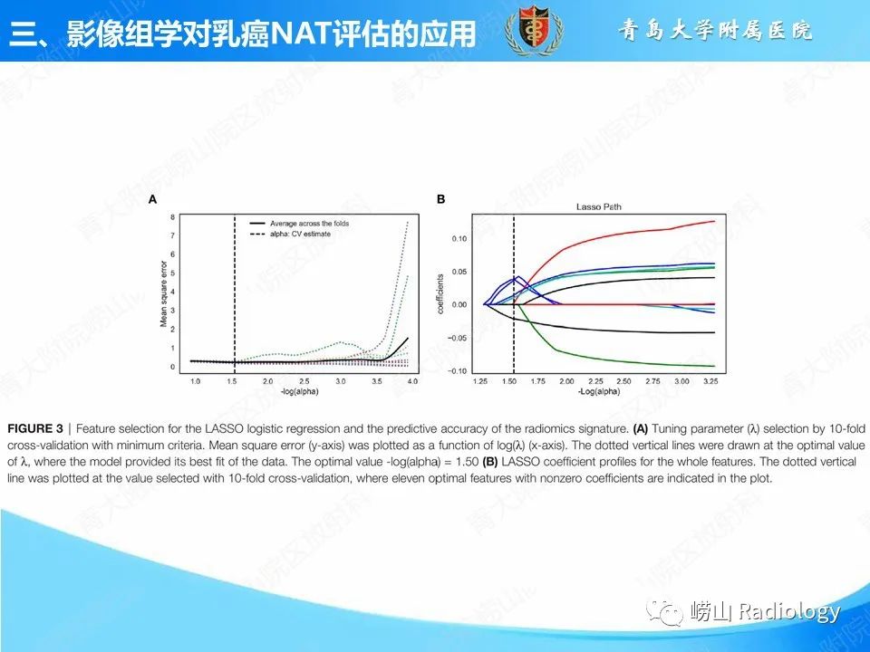 影像PPT - 【PPT】基于影像组学评估乳腺癌新辅助治疗效果-25