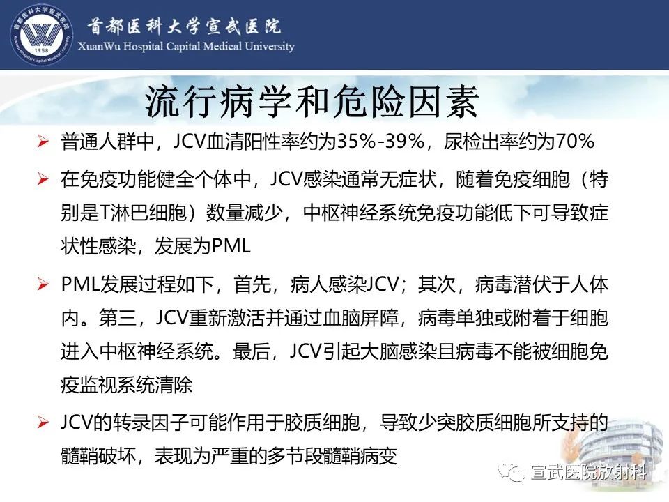 影像PPT - 【病例】进行性多灶性白质脑病1例CT及MR影像表现-13