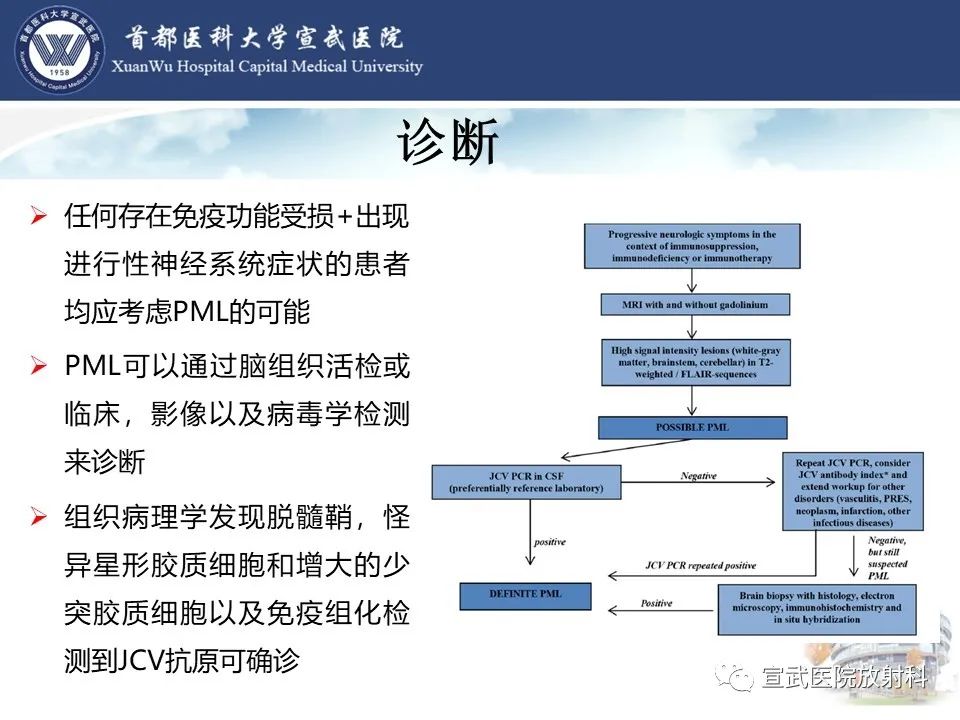 影像PPT - 【病例】进行性多灶性白质脑病1例CT及MR影像表现-22
