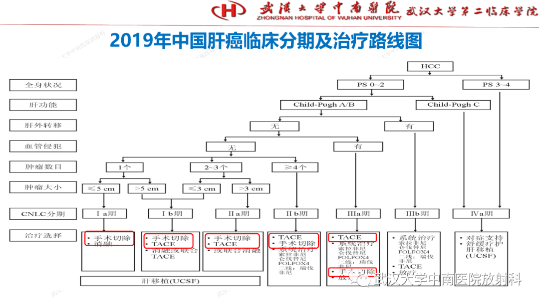 影像PPT - 【PPT】“不可切除”肝癌的TACE转化治疗-7