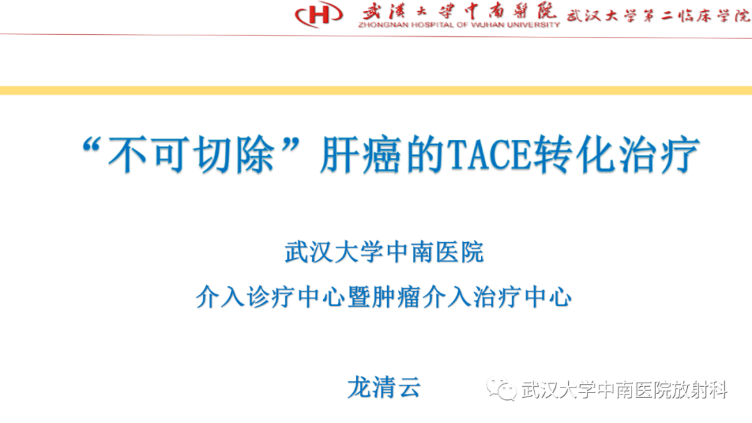 影像PPT - 【PPT】“不可切除”肝癌的TACE转化治疗-2