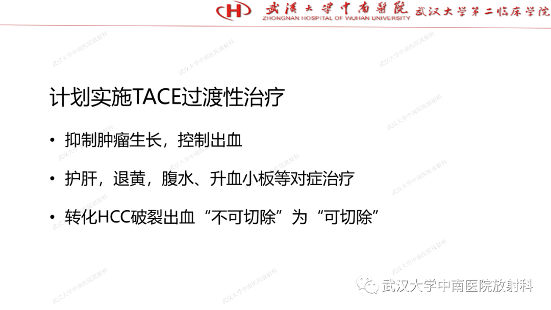 影像PPT - 【PPT】“不可切除”肝癌的TACE转化治疗-93