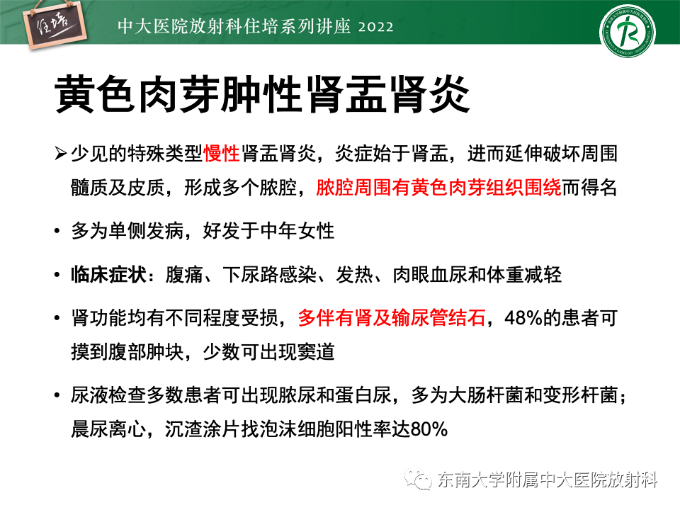影像PPT - 【PPT】肾盂肾炎的影像表现及鉴别诊断-13