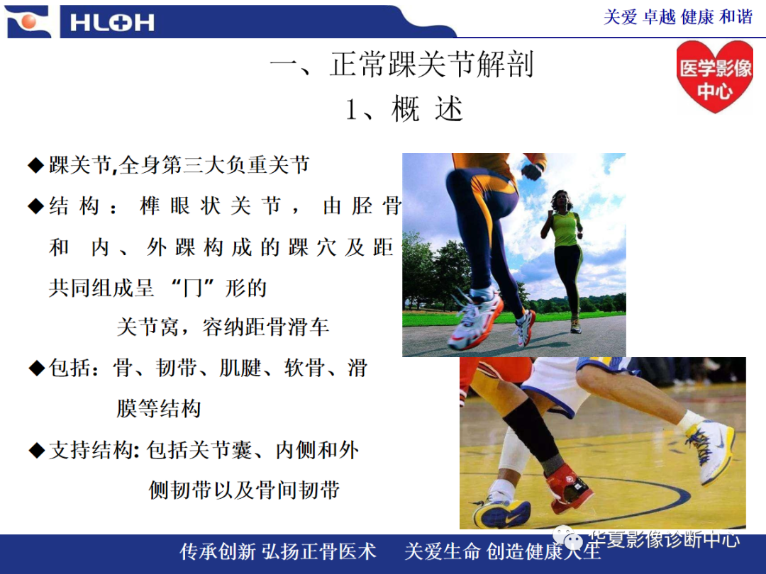 影像PPT - 【PPT】踝关节病变的MRI诊断-3