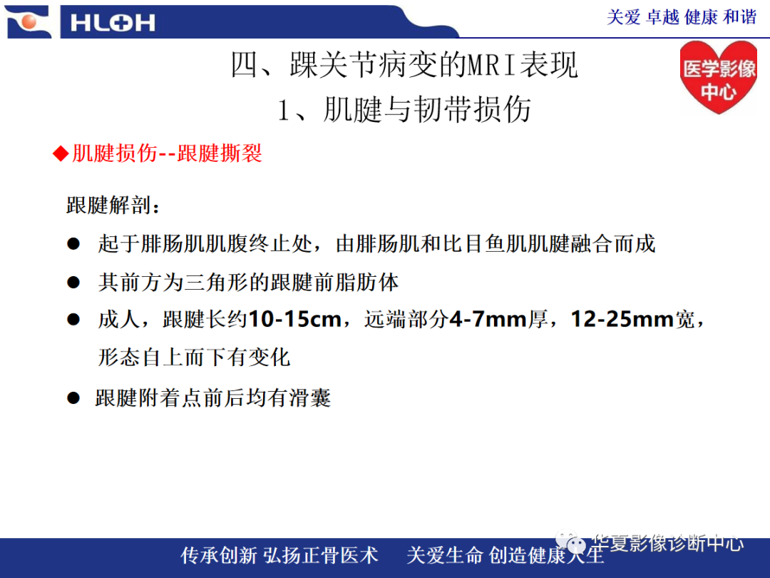 影像PPT - 【PPT】踝关节病变的MRI诊断-49