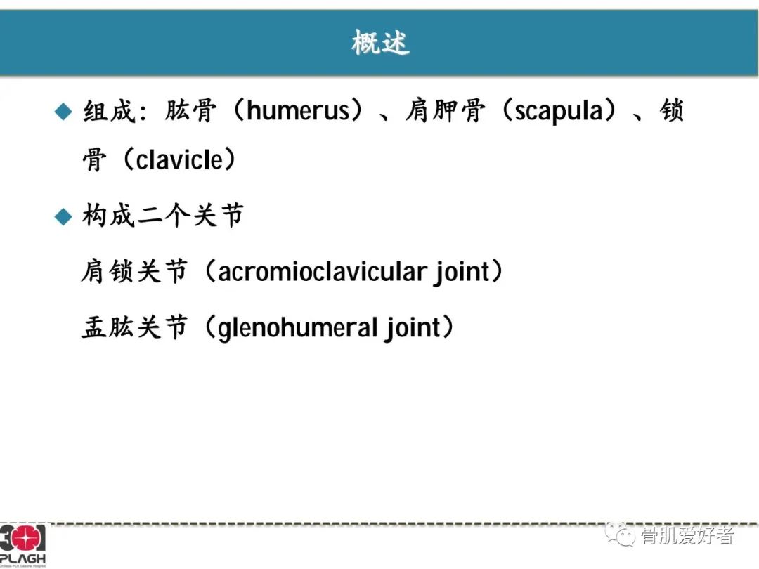 影像PPT - 【PPT】肩关节解剖与运动损伤影像诊断-2