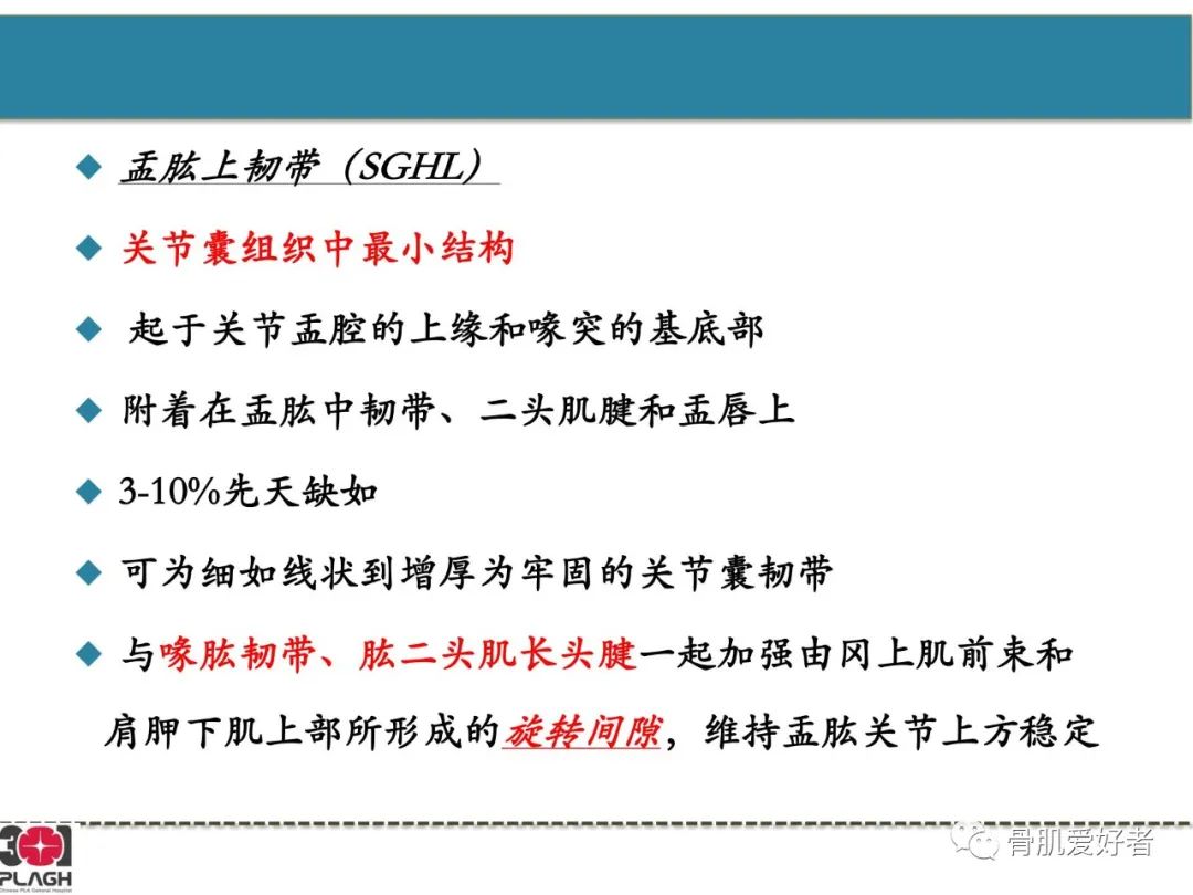 影像PPT - 【PPT】肩关节解剖与运动损伤影像诊断-46