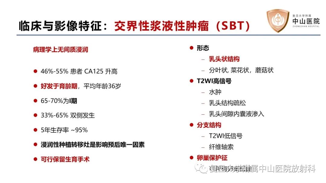 影像PPT - 【病例】卵巢4种上皮源性肿瘤影像鉴别-19