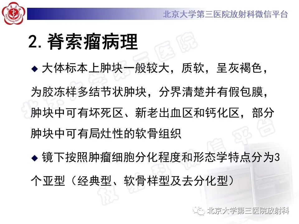 影像PPT - 【PPT】脊索瘤-10