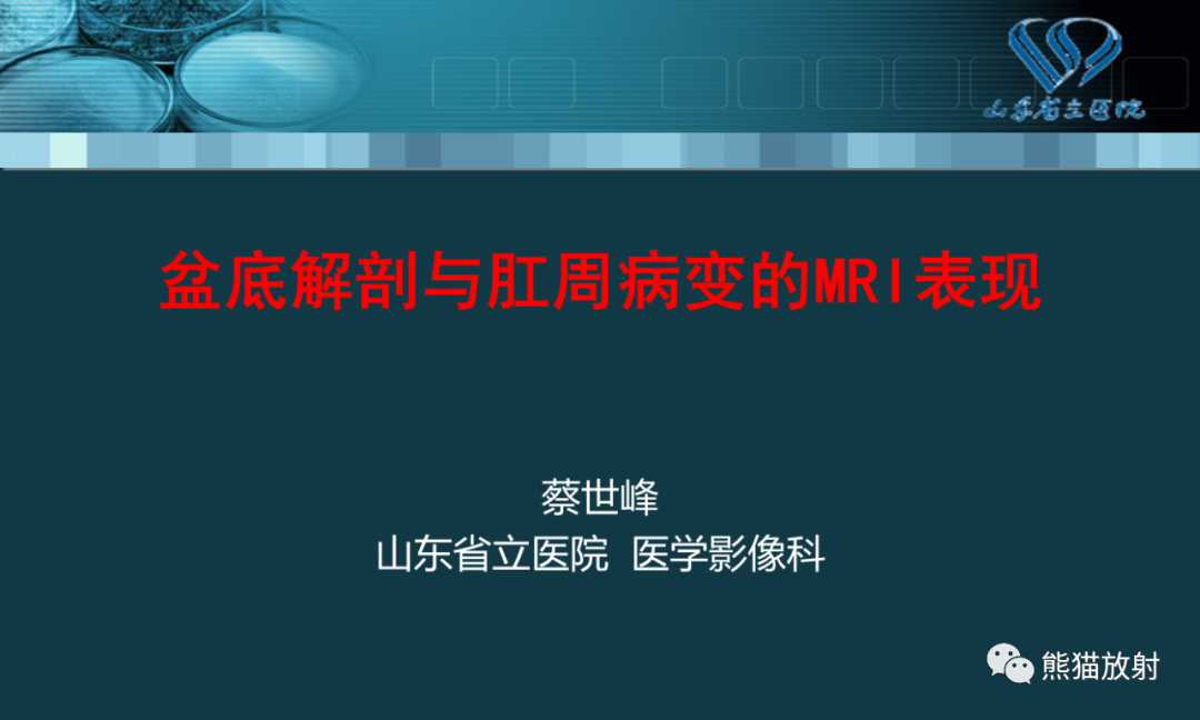 影像PPT - 【PPT】盆底解剖与肛周病变的MRI表现-1