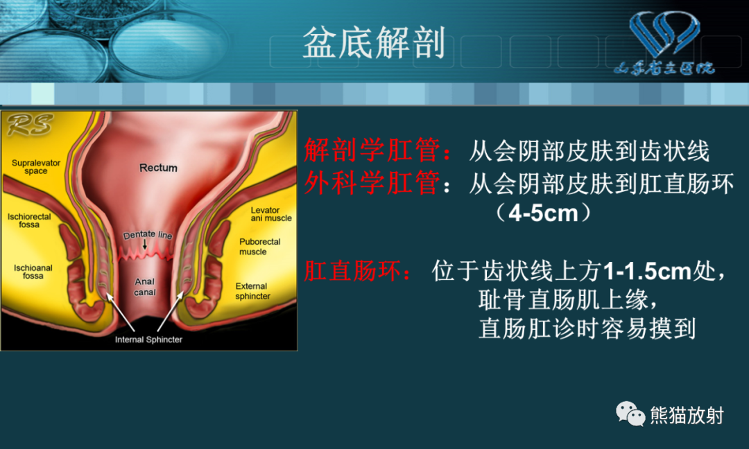 影像PPT - 【PPT】盆底解剖与肛周病变的MRI表现-3