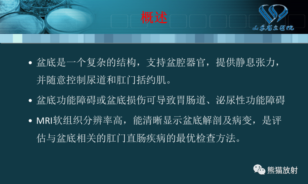 影像PPT - 【PPT】盆底解剖与肛周病变的MRI表现-2