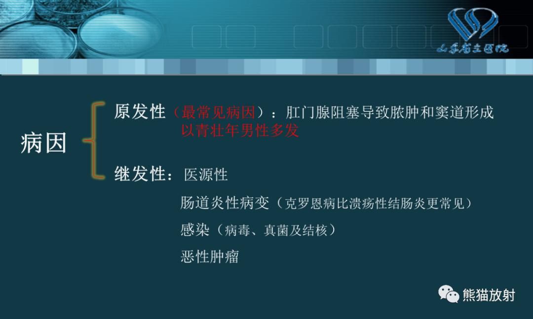 影像PPT - 【PPT】盆底解剖与肛周病变的MRI表现-13