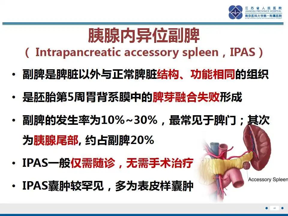 影像PPT - 【PPT】胰腺内异位副脾-21