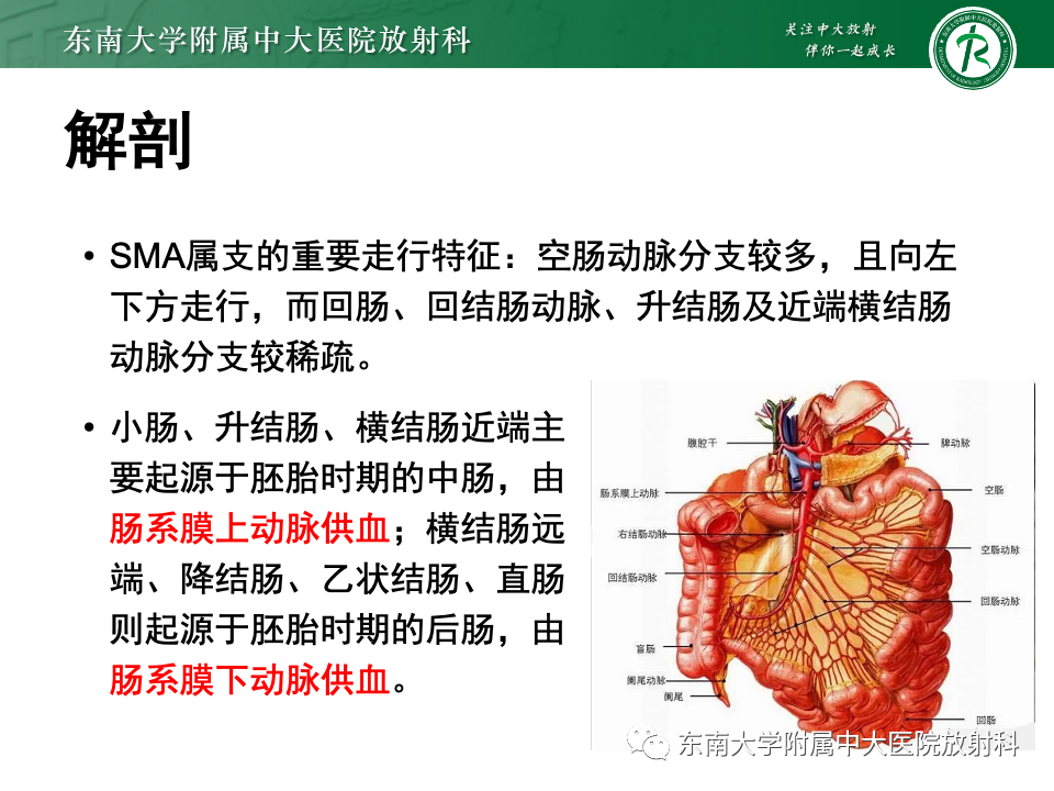 影像PPT - 【PPT】肠旋转不良-15 影像PPT - 【PPT】肠旋转不良-15