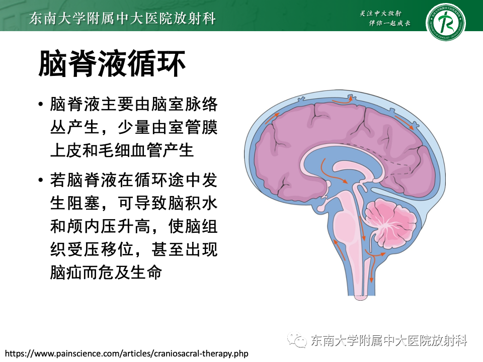 影像PPT - 【PPT】中枢神经细胞瘤-8 影像PPT - 【PPT】中枢神经细胞瘤-8