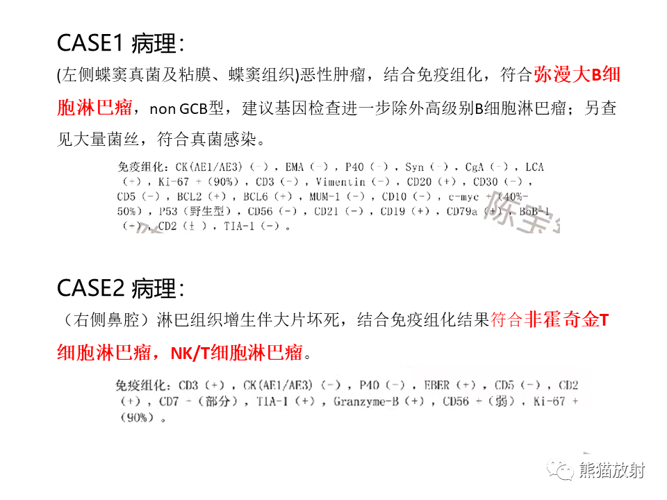 影像PPT - 【病例】鼻腔鼻窦淋巴瘤2例-17