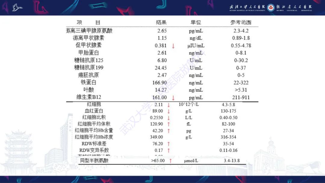 影像PPT - 【PPT】维生素B12缺乏神经影像诊断-4