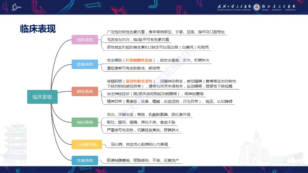 影像PPT - 【PPT】维生素B12缺乏神经影像诊断-11