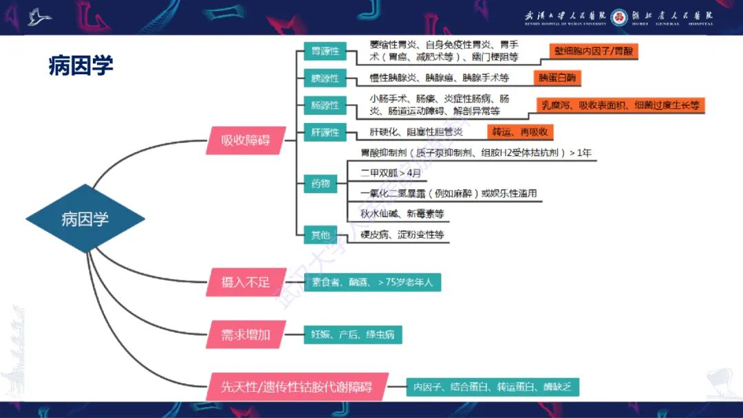 影像PPT - 【PPT】维生素B12缺乏神经影像诊断-9