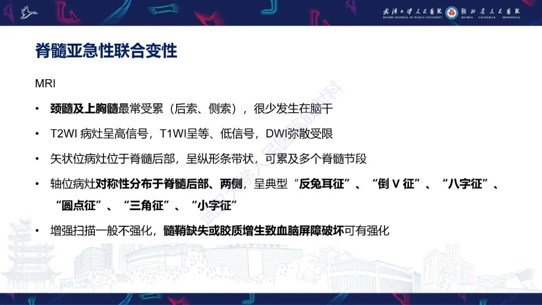影像PPT - 【PPT】维生素B12缺乏神经影像诊断-18