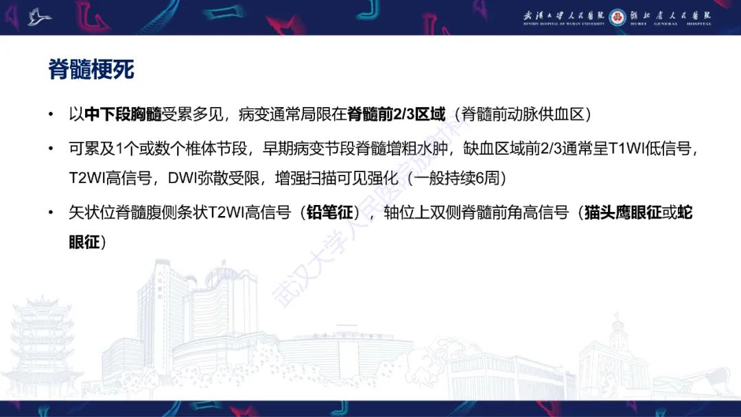 影像PPT - 【PPT】维生素B12缺乏神经影像诊断-43