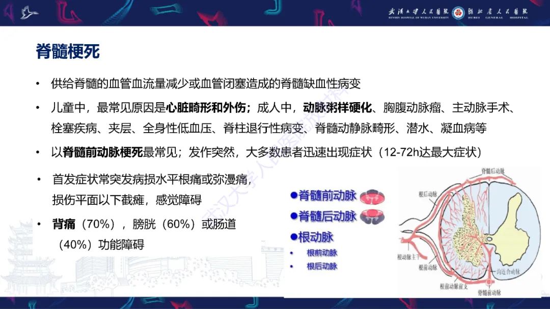 影像PPT - 【PPT】维生素B12缺乏神经影像诊断-42