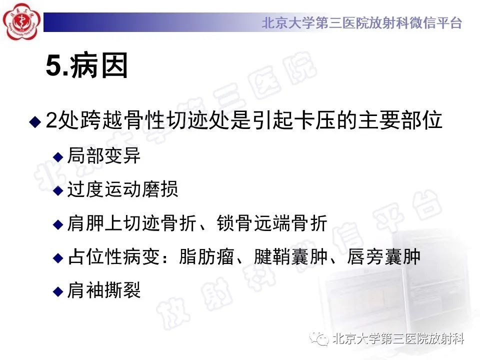 影像PPT - 【PPT】肩胛上神经卡压-11