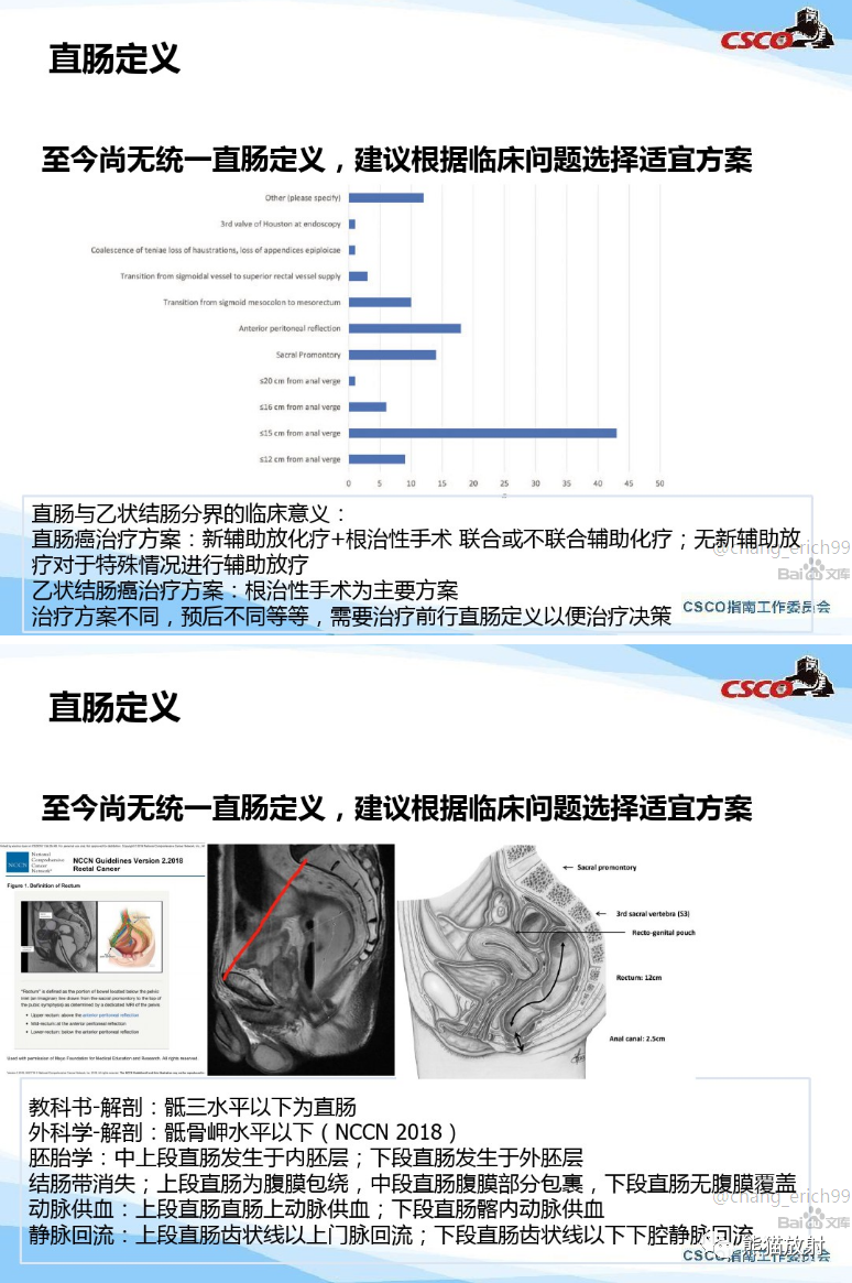 影像PPT - 直肠癌：MRI解剖、扫描规范、影像学评价、结构式报告-2