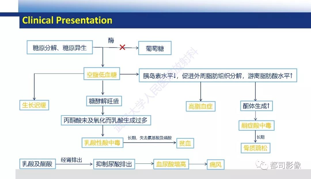 影像PPT - 【PPT】肝脏糖原累积病影像诊断-15