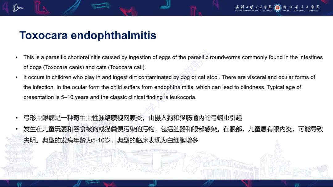 影像PPT - 【PPT】儿童眼眶感染性及炎性病变影像诊断-31