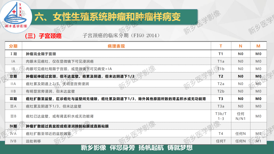 影像PPT - 【PPT】宫颈癌及子宫内膜异位症的影像表现-4