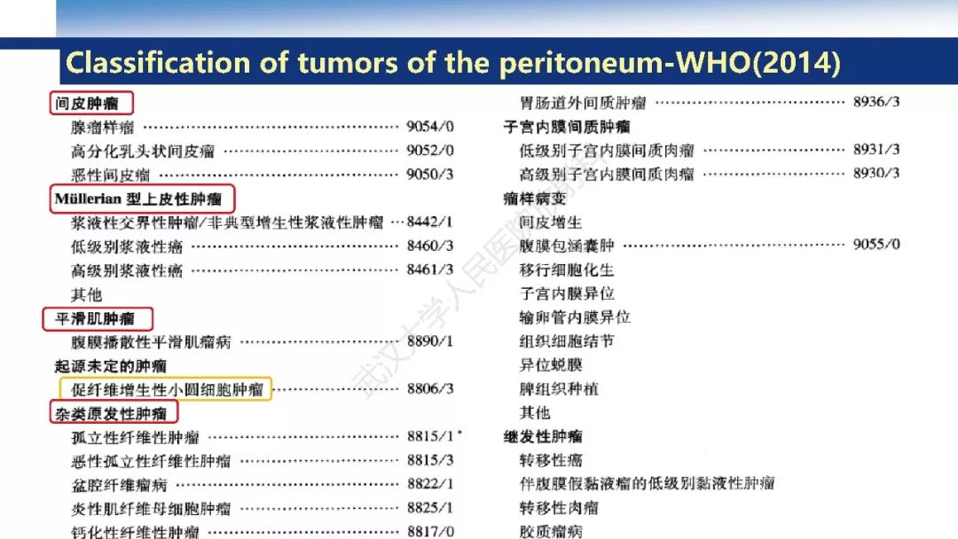 影像PPT - 【病例】促结缔组织增生性小圆细胞肿瘤DSRCT一例影像诊断-23