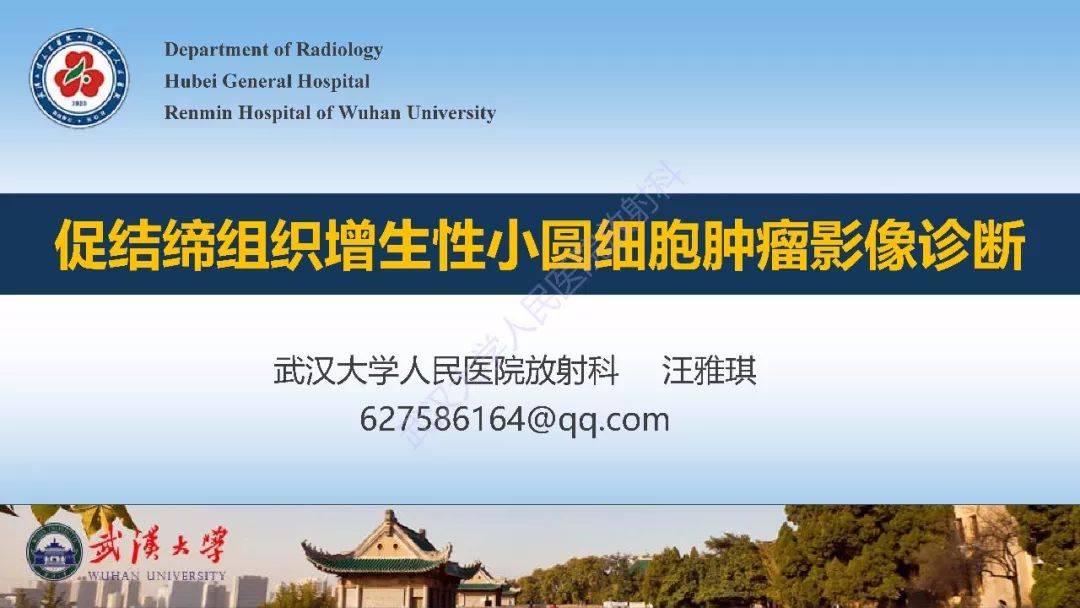 影像PPT - 【病例】促结缔组织增生性小圆细胞肿瘤DSRCT一例影像诊断-13