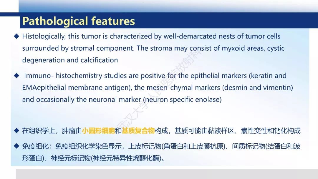 影像PPT - 【病例】促结缔组织增生性小圆细胞肿瘤DSRCT一例影像诊断-17