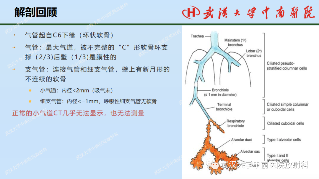 影像PPT - 【PPT】先天性气道异常-3