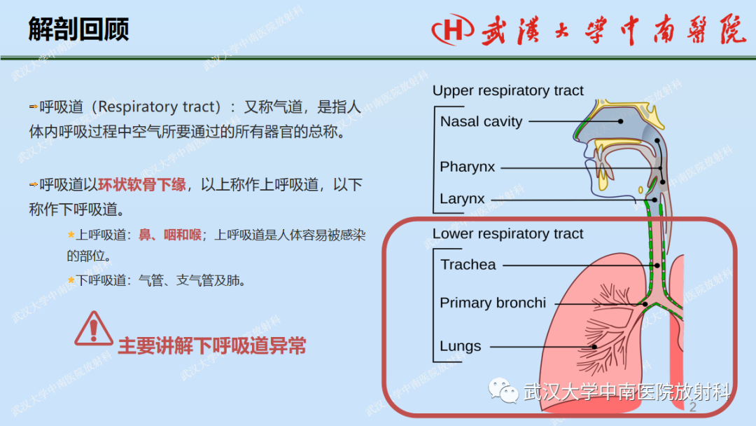 影像PPT - 【PPT】先天性气道异常-2