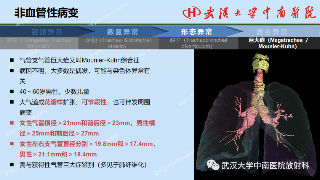 影像PPT - 【PPT】先天性气道异常-34