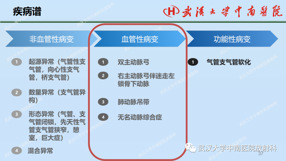 影像PPT - 【PPT】先天性气道异常-37