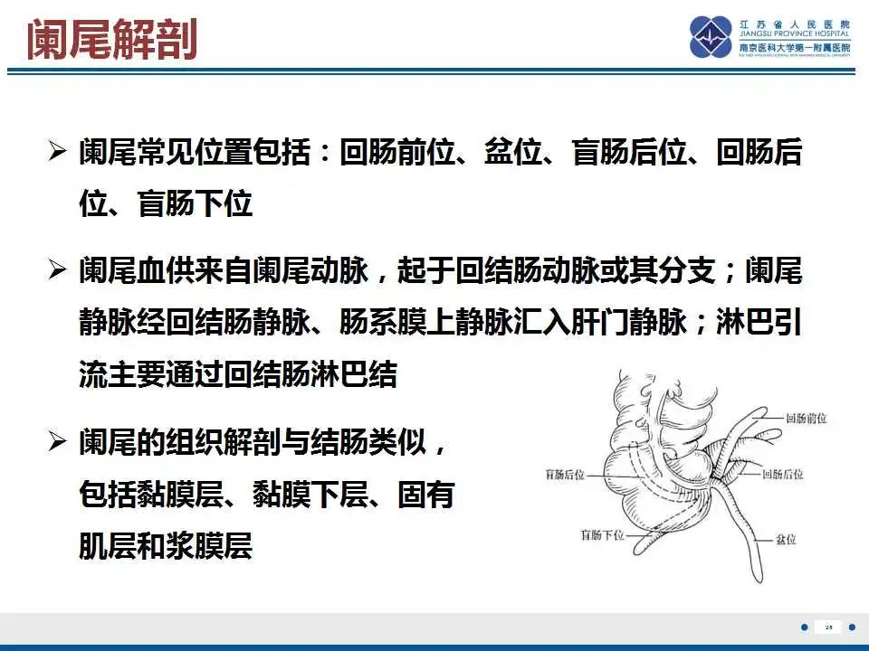 影像PPT - 【PPT】阑尾黏液性肿瘤-26