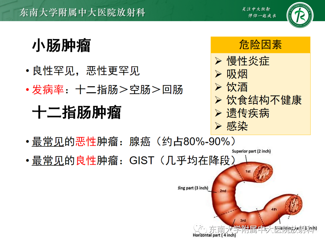 影像PPT - 【PPT】十二指肠占位—病例随访-12